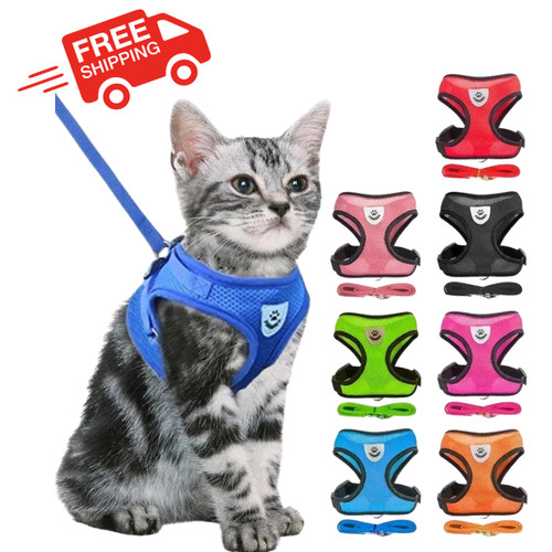 Cat harness leash - leash, pet
